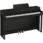�������� ���������� CASIO Celviano AP-300BK ����