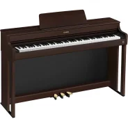 �������� ���������� CASIO Celviano AP-300BN ����