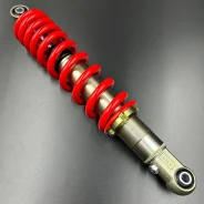 ����������� ������ X5/X6 (ZIBO) ����