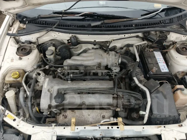 Ford Laser. �������, ��������, 1.5 (110��.�.), ������, 325 000����. �� ����