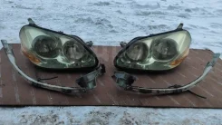 ���� Xenon � ����� �����/������ (����) Toyota Mark 2 8113022750 GX110 8113022750 ����