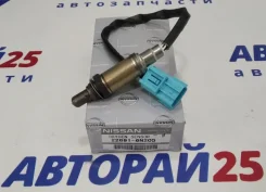 ������ ����������� (������-����) Nissan 226916N205 226916N205 QR20DE 226916N205 ����