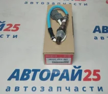 ������ ����������� (������-����) Honda 36531PPAA01 36531PPAA01 4EE2 36531PPAA01 ����