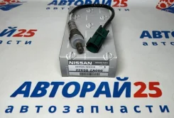 ������ ����������� (������-����) Nissan 226902A000 226902A000 QR20DE 226902A000 ����