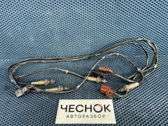 ������ �����������/Lambdasonde Volkswagen Touareg 1 2006 077906262A AXQ 077906262A ����