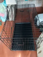 ������ ��� ����� ����