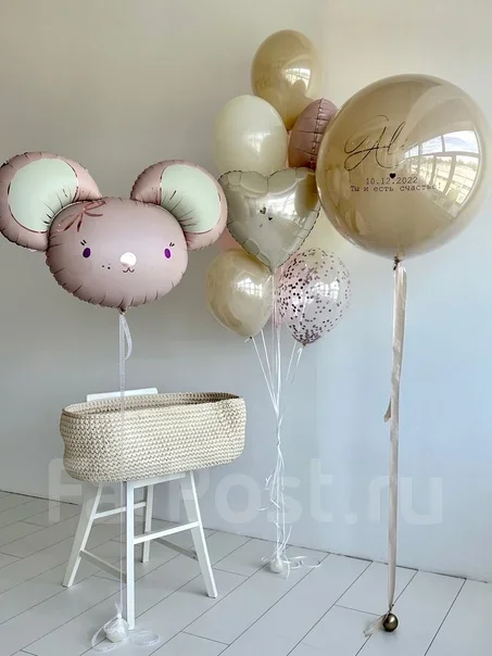���� ���������. ����