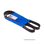 ������ ������������ Avantech Avantech 6PK1185 ����