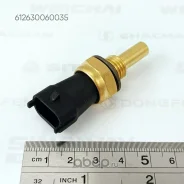 ������ ����������� ����������� �������� Weichai Shacman 612630060035 ����