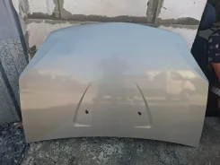 ����� ���� ������� ����