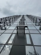 2-���������, ����� ������������ 186. ���������, ���������, 8/21 ���� ����
