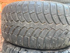 Bridgestone Blizzak Spike-01. ������, ����������, �/�, ����� 35 % ����