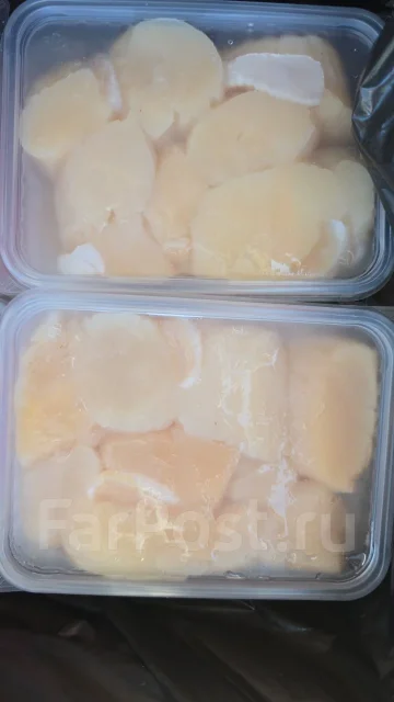 ������� ��������. ����
