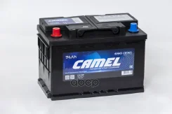 Camel