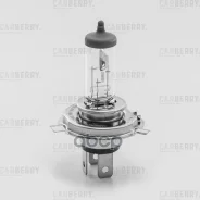 ����� H4 12V (60/55W) DayNight Carberry ���. 31CA7 31CA7 Carberry 31CA7 ����