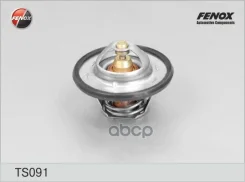 ��������� Citroen Berlingo 96-, Evasion 94-02, Jumper 94-02, Xsara 97-04, Peugeot 106, 205, 306, 405 Fenox ���. TS091 TS091 ����