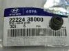 ������������ �������� ������� ��������� Hyundai-KIA ���. 2222438000 2222438000 Hyundai/Kia 2222438000 ����