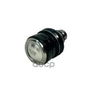 ����� ������� Iberis ���. IB117099 IB117099 ����