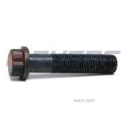 ���� ! ��������� �������� M16x1.5x73/G10.9 20x Omn MB Actros/MK/NG/SK Auger 101891 101891 ����