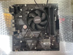 AMD ����