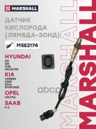 ������ ��������� (����������) Marshall ���. MSE2174 MSE2174 Marshall MSE2174 ����