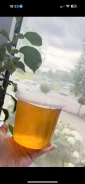 ���, ������� ��������. ����