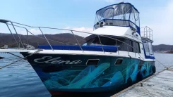 Carver. 1987 ���, ����� 10��., ��������� ������������, 500��.�., ������ ����