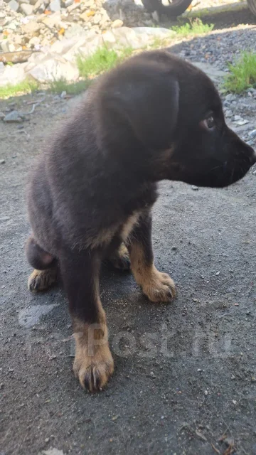 ������. ����