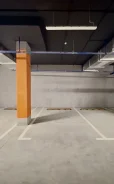 ����� �����������. ����