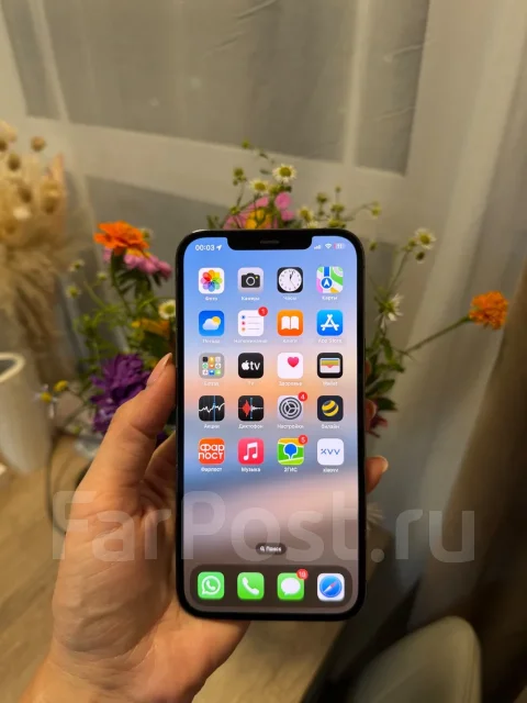 Apple iPhone 12 Pro Max. �/�, 256 ��, �����, 3G, 4G LTE, 5G, Dual-SIM, NFC, eSIM ����