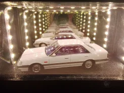 ����������. ����