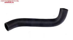 �������� ��������� 3302 ������ 4216 ���� 3, Evotech ���� 5 ������� d=38�� 330231303010 ����