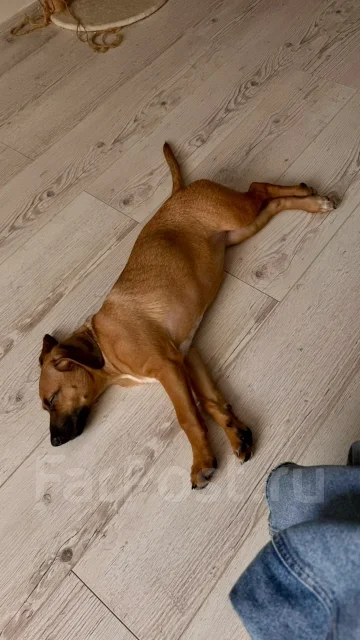 ������. ����