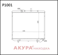 �������� ���������� ��������� �������� P1001 Tongshi P1001 P1001 ����
