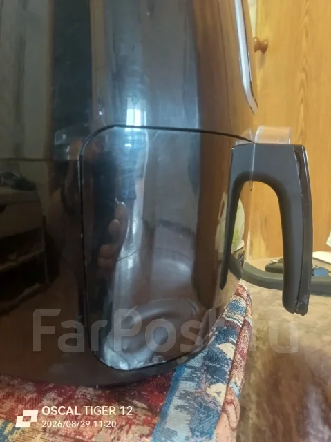 ���������. ����