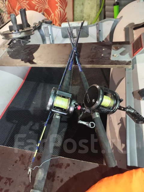 X-River. 2024 ���, ��������� ���������, 9,9��.�., ������ ����