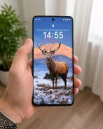 Honor X9b. �/�, 256 ��, ������, Dual-SIM ����