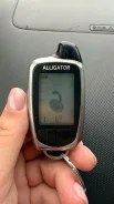 Alligator. ����