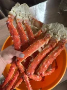 ���� ����������. ����