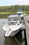 Bayliner. 1996 ���, ����� 8,36��., ��������� ���������, 260��.�., ������ ����