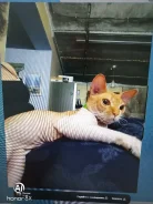 ������. ����