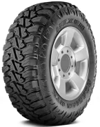 Nexen Roadian MTX