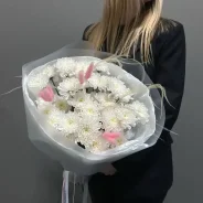 ��������� ����, ������� ����, ����� ����, �����-������, ���������� ����