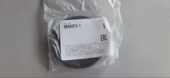 ������� GK042F31 GK042F31 ����