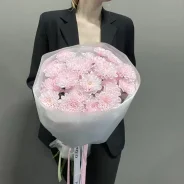 ��������� ����, ������� ����, ����� ����, �����-������, ���������� ����
