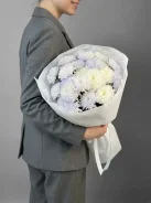 ��������� ����, ������� ����, ����� ����, �����-������, ���������� ����
