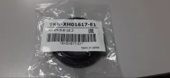 ������� ������� XH01617E1, �������� ������ XH01617E1 ����