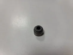 �������� ������������ BV4951E0 BV4951E0 ����