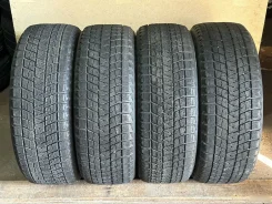 Bridgestone Blizzak DM-V1