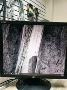 DNS. 19", ���������� �� (LCD, LED, QLED) ����